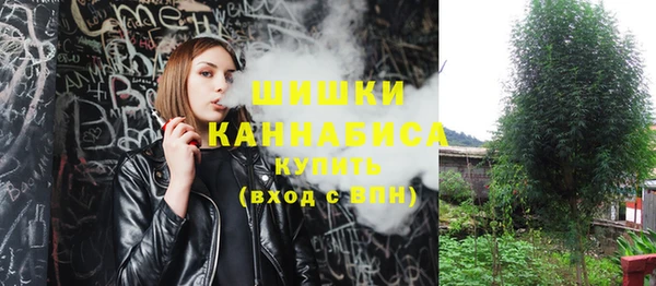 соль ск Слюдянка